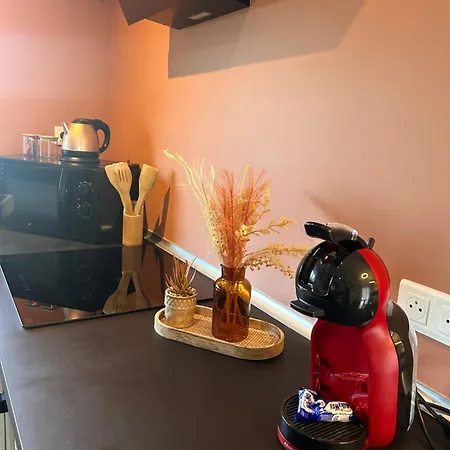 Apartament La Prestige Avec Sauna Netflix Jardin