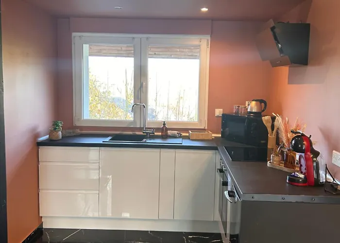 La Prestige Avec Sauna Netflix Jardin Champigneulles