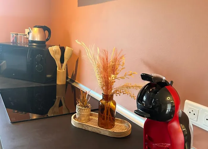 Apartmán La Prestige Avec Sauna Netflix Jardin